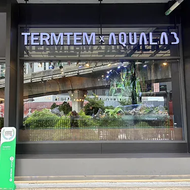 Termtem Coffee × AQUA LAB: A Relaxing Aquarium Café in the Phra Khanong Area