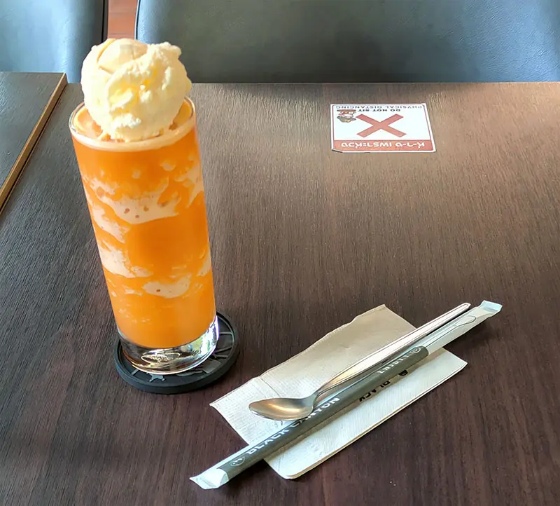 Thai Tea Smoothie Float