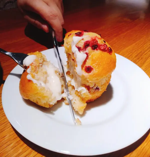 Cranberry Yoghurt Muffin