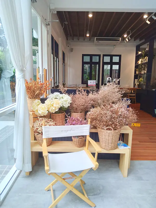 chairs and plant pots